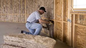 Best Insulation Removal  in Thomaston, GA